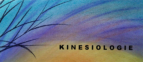 Kinesiologie Dorothea Meyer